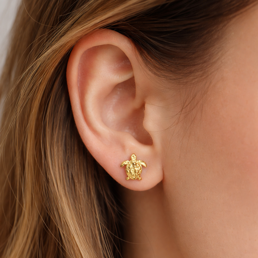Pendientes Turtle
