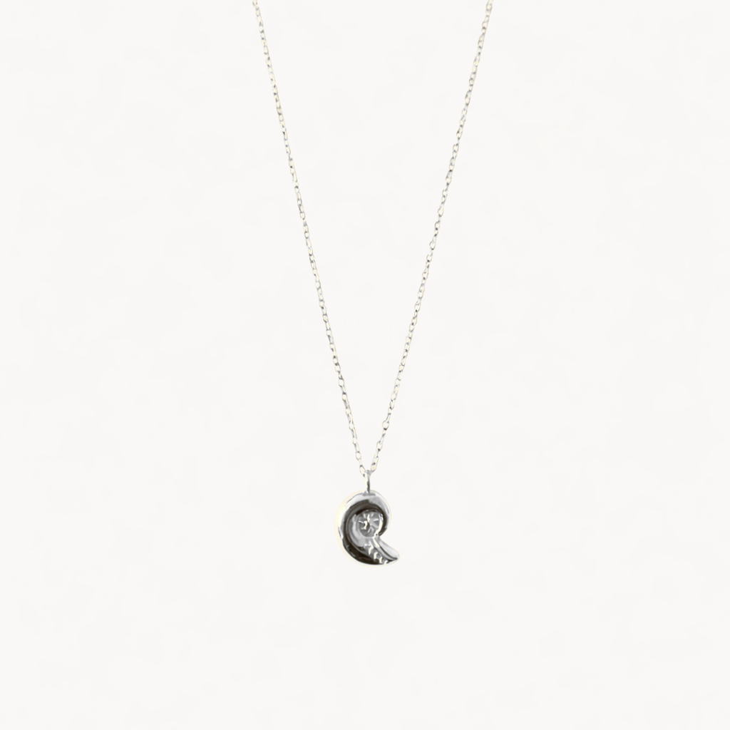 Collar Seashell Spiral