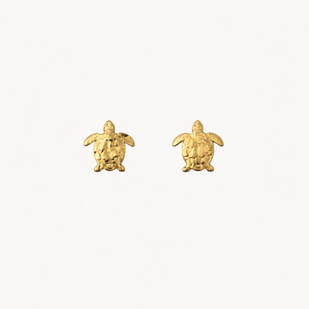 Pendientes Turtle