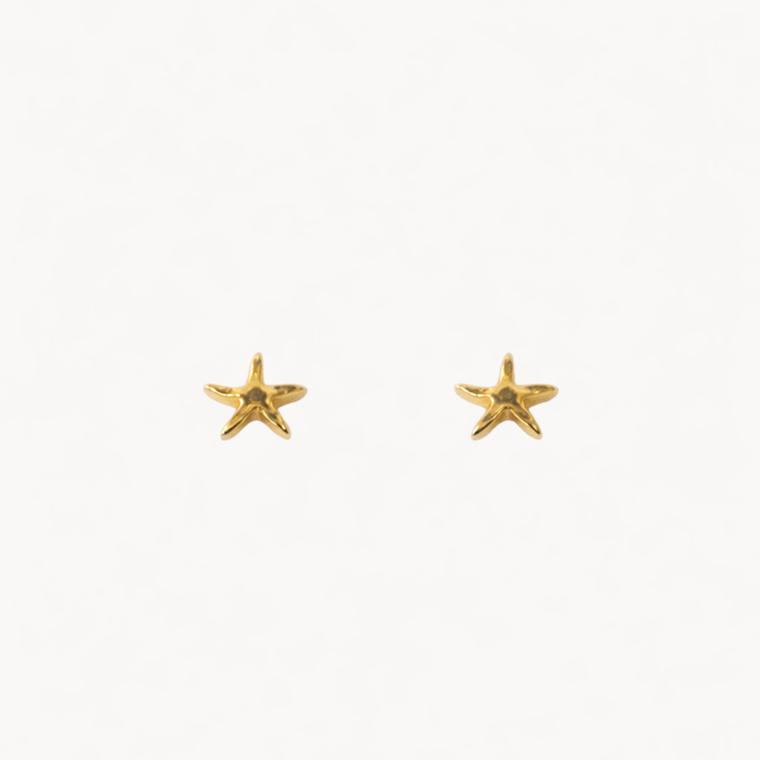 Pendientes Starfish