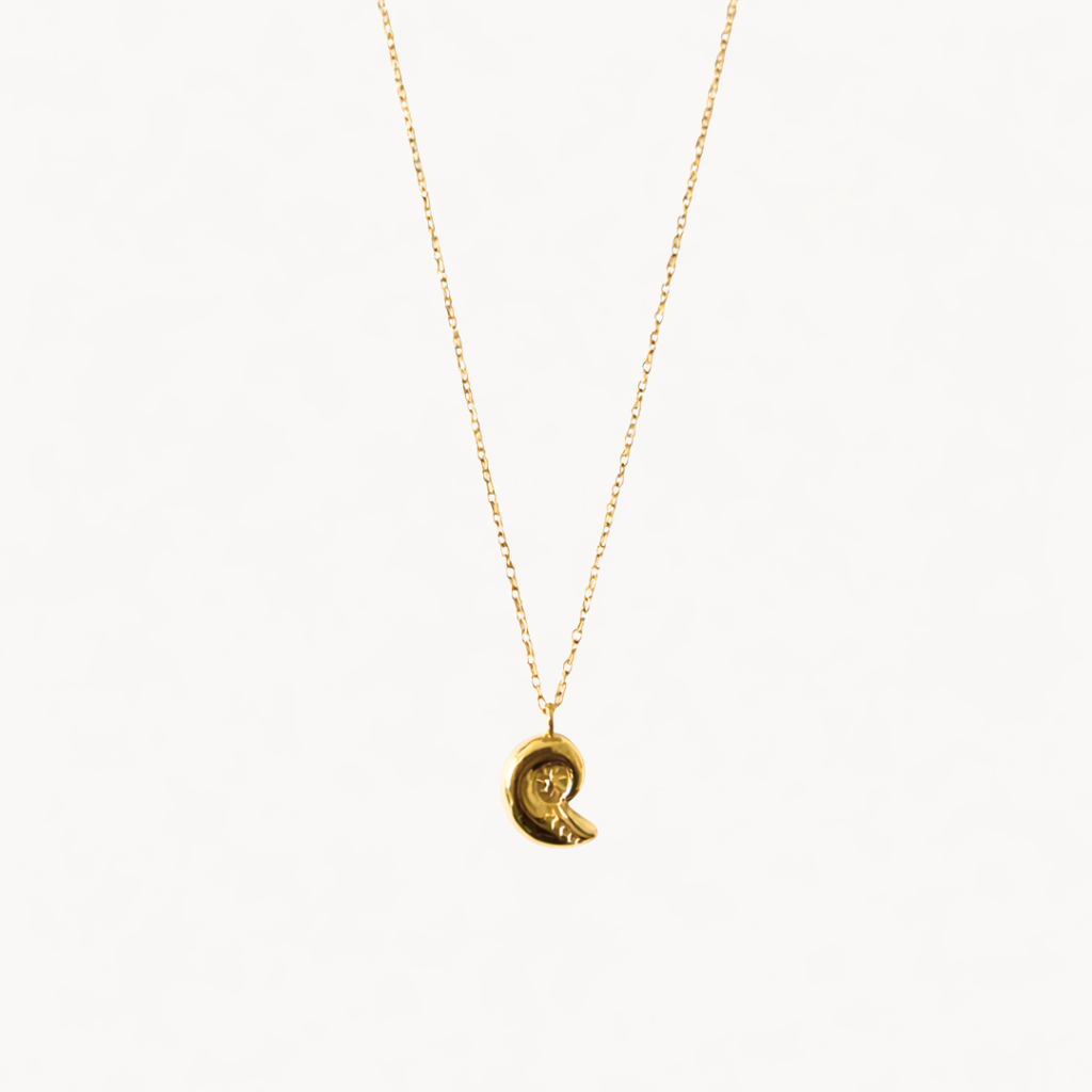Collar Seashell Spiral