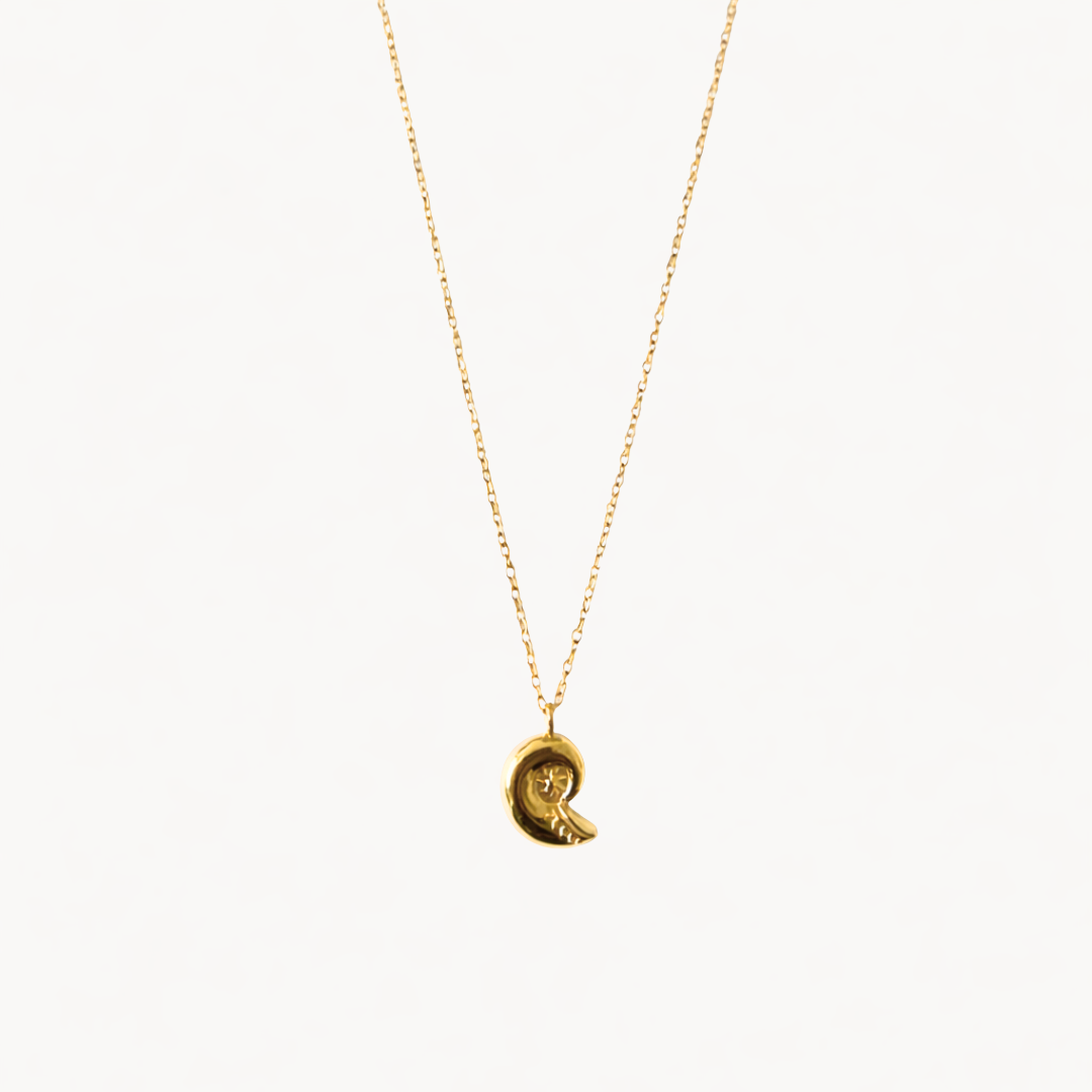 Collar Seashell Spiral