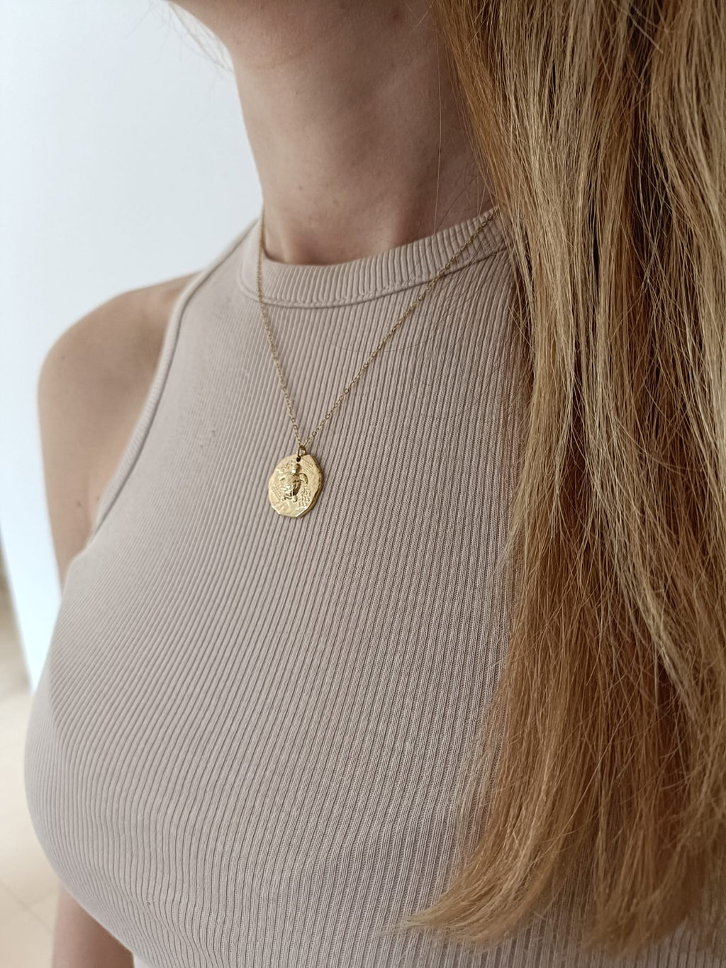 Collar Turtle